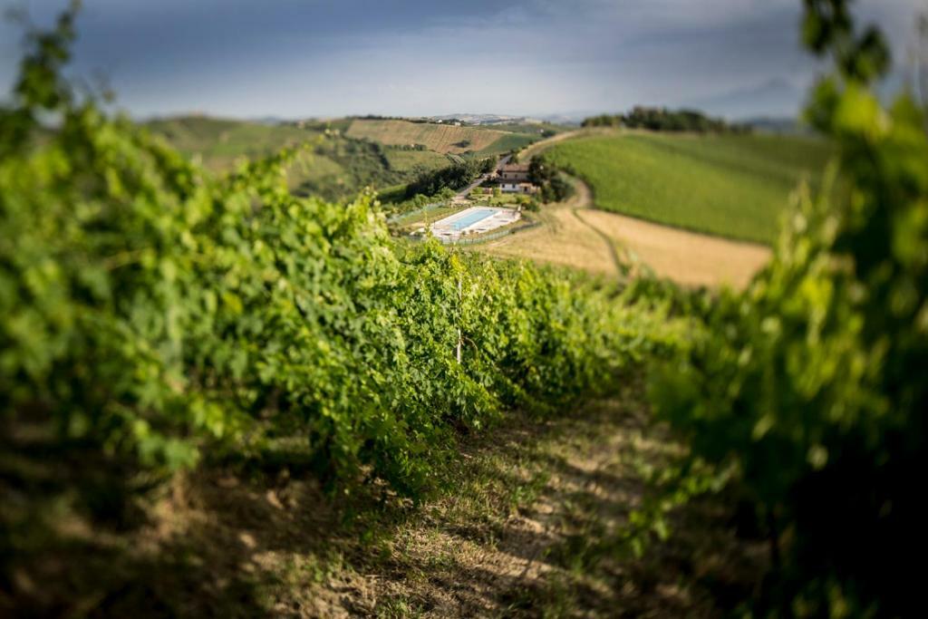 Casali Costadoro Acquaviva Picena Eksteriør bilde